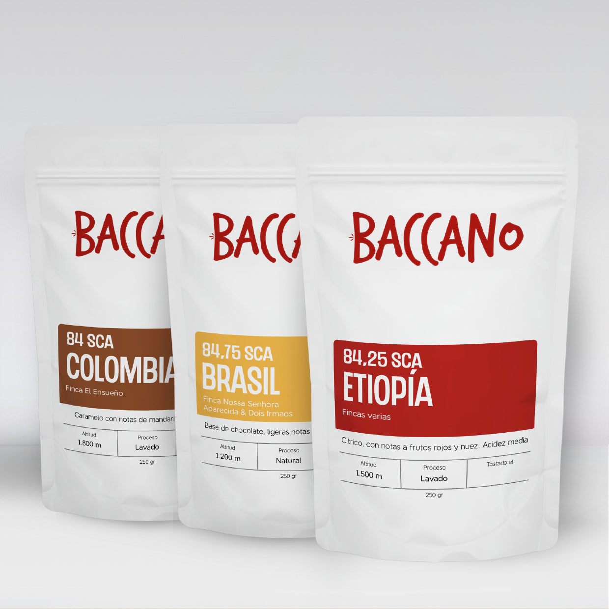 cafe-baccano-mockup-pack-best-sellers